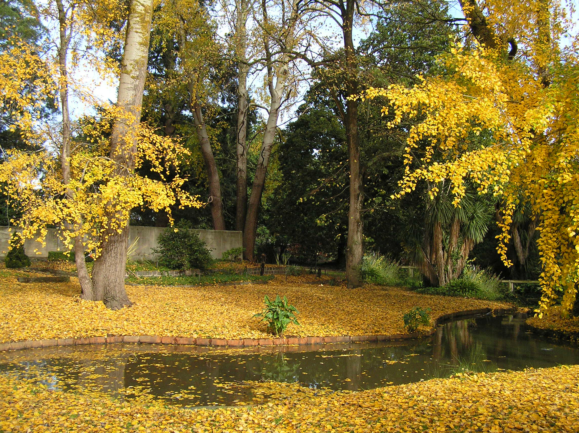 Buninyong Botanic Gardens