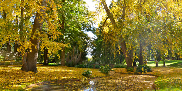 Buninyong Botanic Gardens