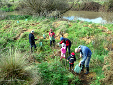 tree planting