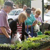 Buninyong Village Market