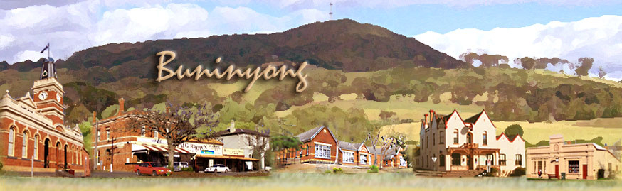 buninyong panorama