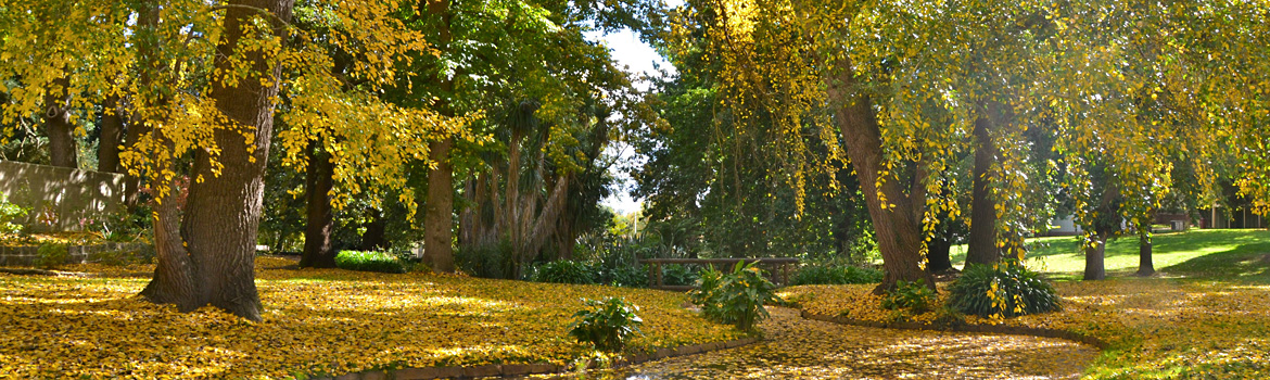 gardens-autumn