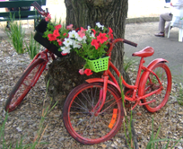 red bikes